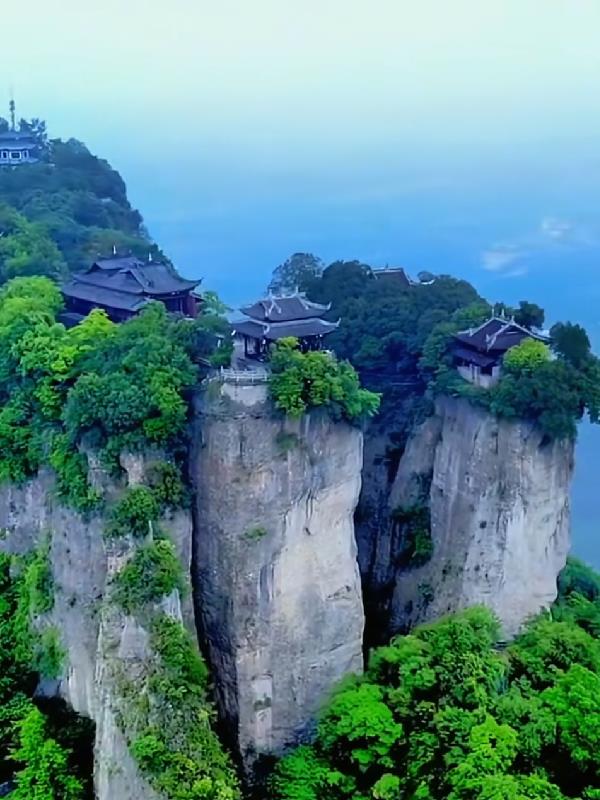 我说我的二零二五年